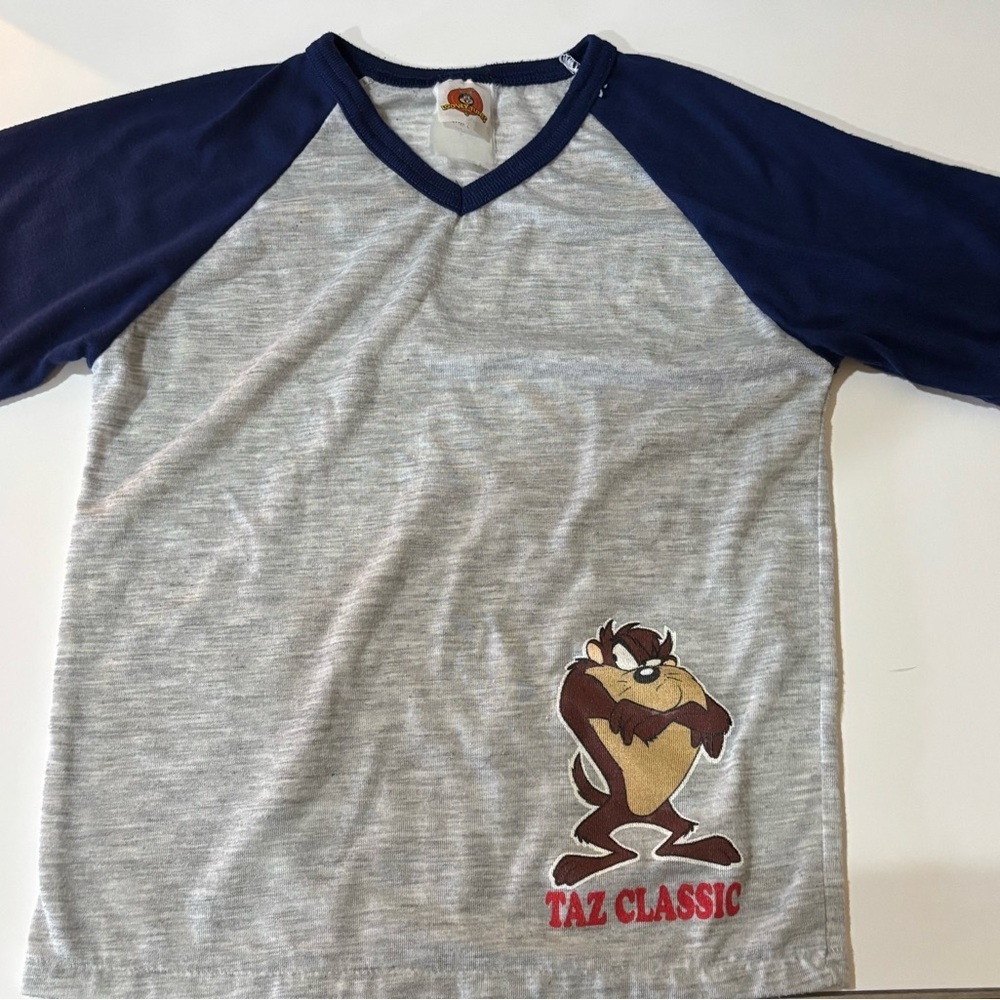 Vintage 1996 Looney Tunes, Tasmanian devil shirt